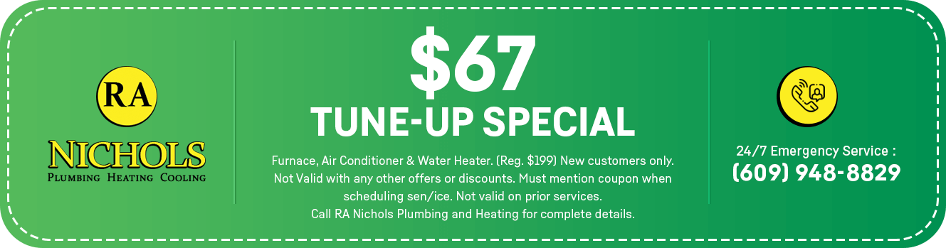 $67 Tune-Up Special